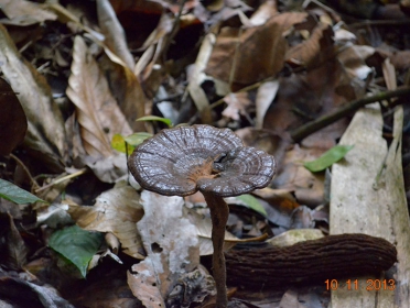 Team-Building-9-November-2013_21