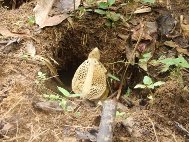 Team-Building-9-November-2013_37