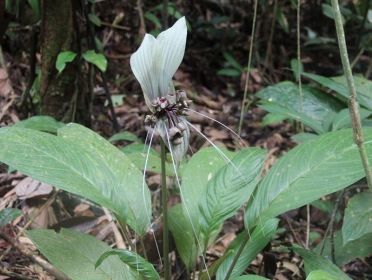 Team-Building-9-November-2013_38